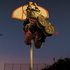 20101118170401-drewcifer_dunks