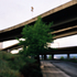 20101119010759-overpass-tacoma-2010