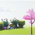 20101119143918-redbudhedge