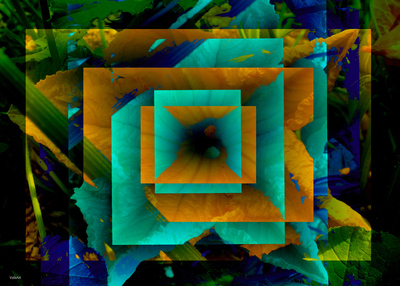 20101120084551-tropics