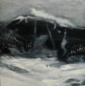 20101120160103-sarajevo_reasort_8_20x30_acrylic_on_wood
