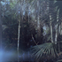 20101121231419-stokes_08