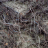 20101121231612-stokes_05