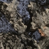 L1030308_2