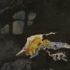 L1030344_2
