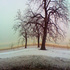 20101123073025-iscapes06