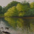 20101123172021-cooperriver1