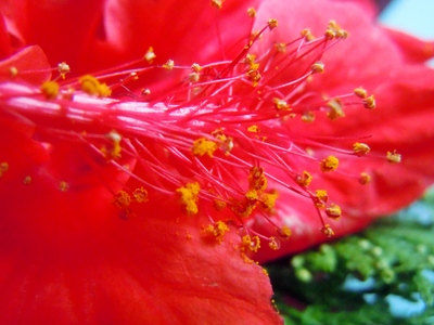 20101125220257-dscn2271