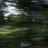 20101127101633-ccflicker1_web