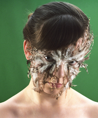 Untitled (Owl),Birta Gudjonsdottir