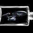 20101128105600-wilson_web_star_trek