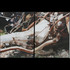 20101128114413-rejectedtransmissiondiptych