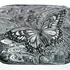 20101128161434-as_a_butterfly