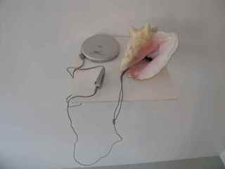 Seashell(soundpiece with techno artist Exos),Birta Gudjonsdottir