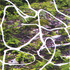 20101130072736-scape_image_low_res