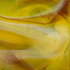 20101130094313-delight_350dpi