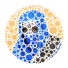 COLOR BLIND TEST ,Sinan Revell