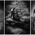 20101201001420-untitled1