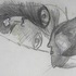 20101202005356-faces