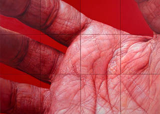 Flesh Field in 12 Panels,edie nadelhaft