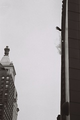 20101203101456-eva_brunner_sohosmoke