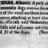 20101204131855-xx_a_pack_of_200_mountain_dogs
