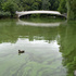 20101205063738-bowbridge