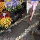 20101205080918-farmermarket