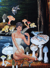 A Few Good Mushrooms,Teresa Petersen