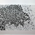 20101205155519--1