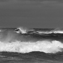 20101206072616-wildwavesbw
