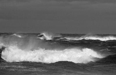 20101206072616-wildwavesbw