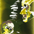 Personal_space_daniel_nolan_2009_resin_on_canvas_30w_x_40h