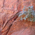 20101208075624-img_0210