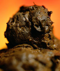 Self Portrait Shit,Andres Serrano