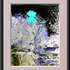 20101208094639-pavots20huile