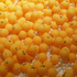20101208212549-2006-16bubbles_of_perception-_in_the_end_is_the_beginning