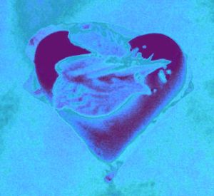 20101209081842-heart4