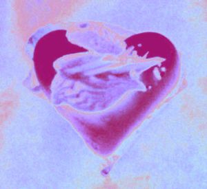 20101209082629-heart5