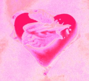 20101209083549-heart6