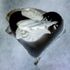 20101209090202-invertedheart