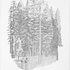 20101209101711-celio_nimby