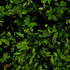 20101210145728-yuan-disappearing_landscape_1-_october