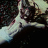 20101211120101-a_fire_in_my_belly_film_still2