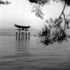 20101212073354-miyajimagate