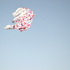 20101213135136-art_10_3113