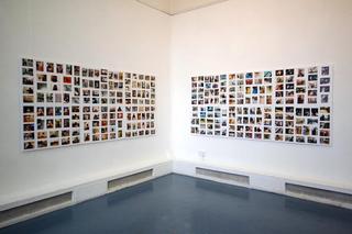  THE CAT PROJECT ,Nazneed Ayyub-Wood