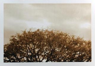 untitled,Anita Bunn