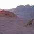 20101215153256-catpetra