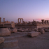 20101215153839-duskpalmyra